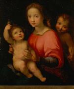 Andrea del Sarto Maria mit Kind und Johannesknaben oil painting artist